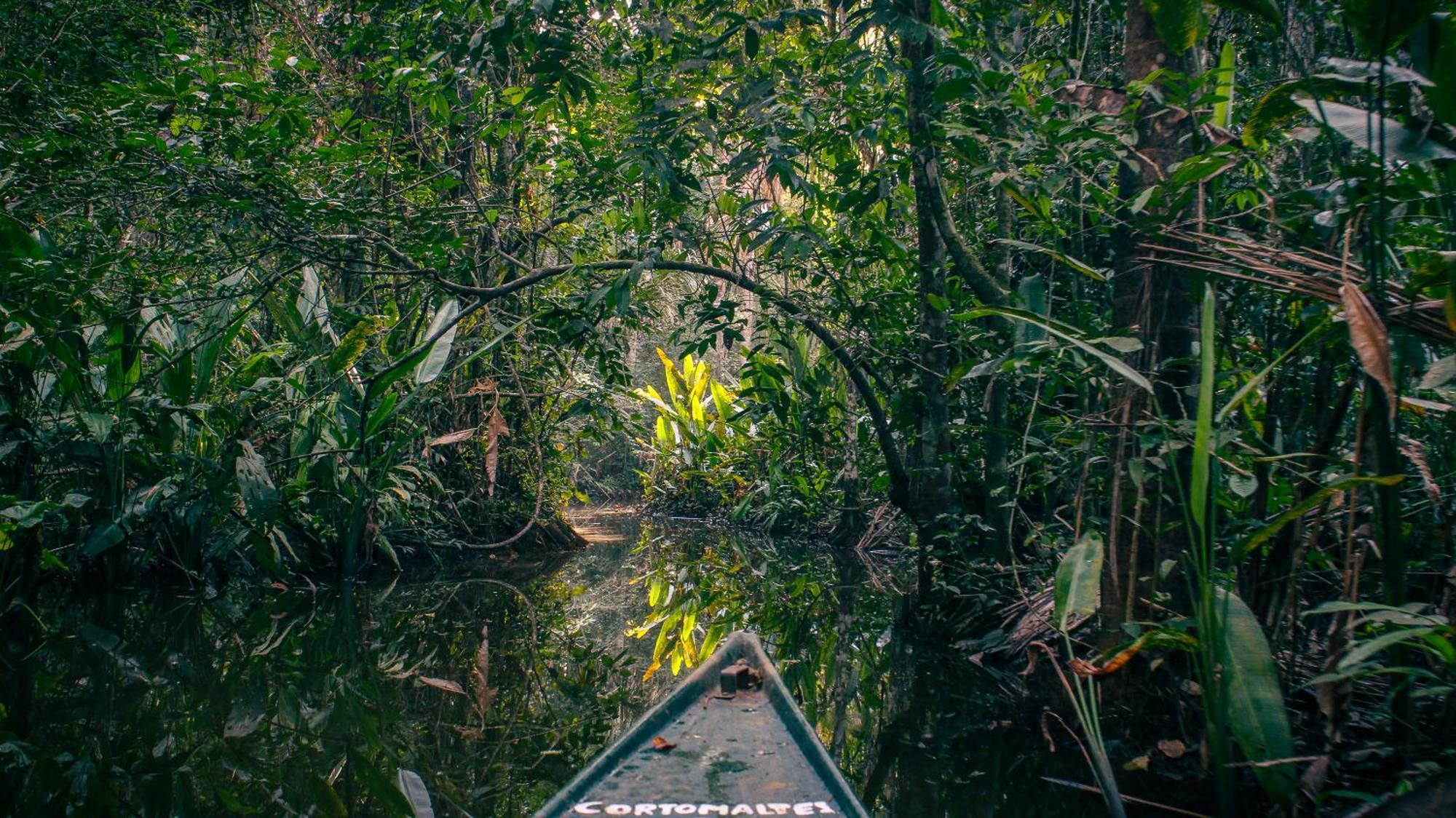 Corto Maltes Amazonia Lodge Puerto Maldonado