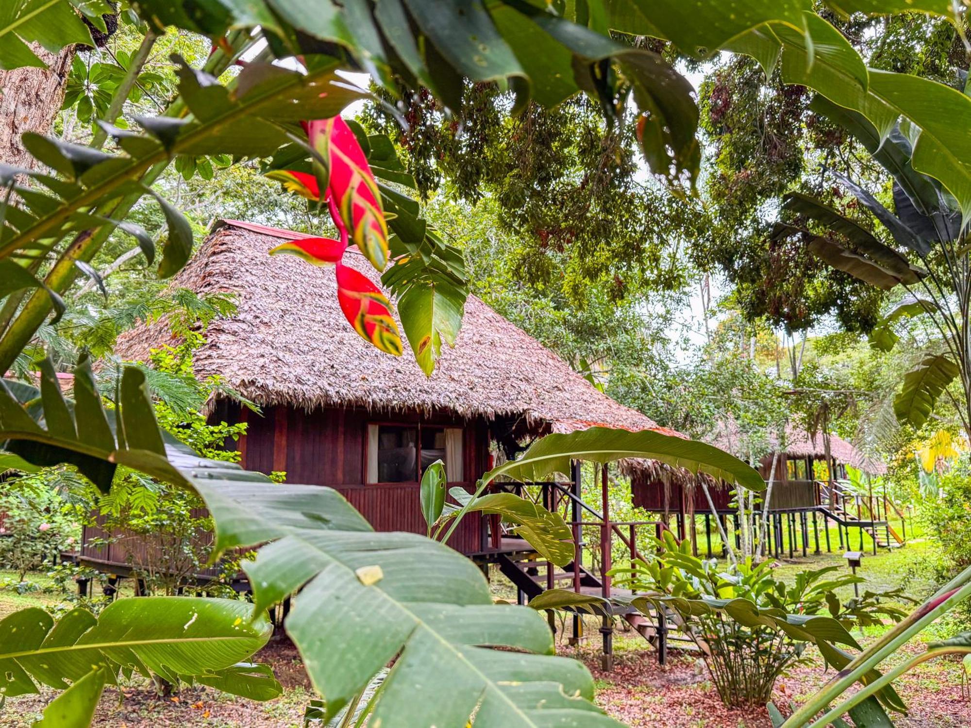 Corto Maltes Amazonia Lodge *