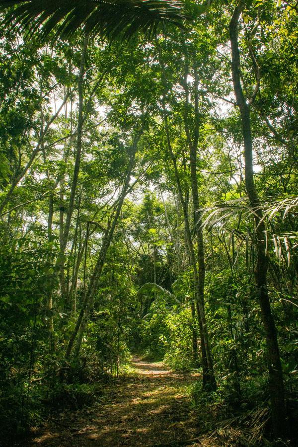 Corto Maltes Amazonia Puerto Maldonado