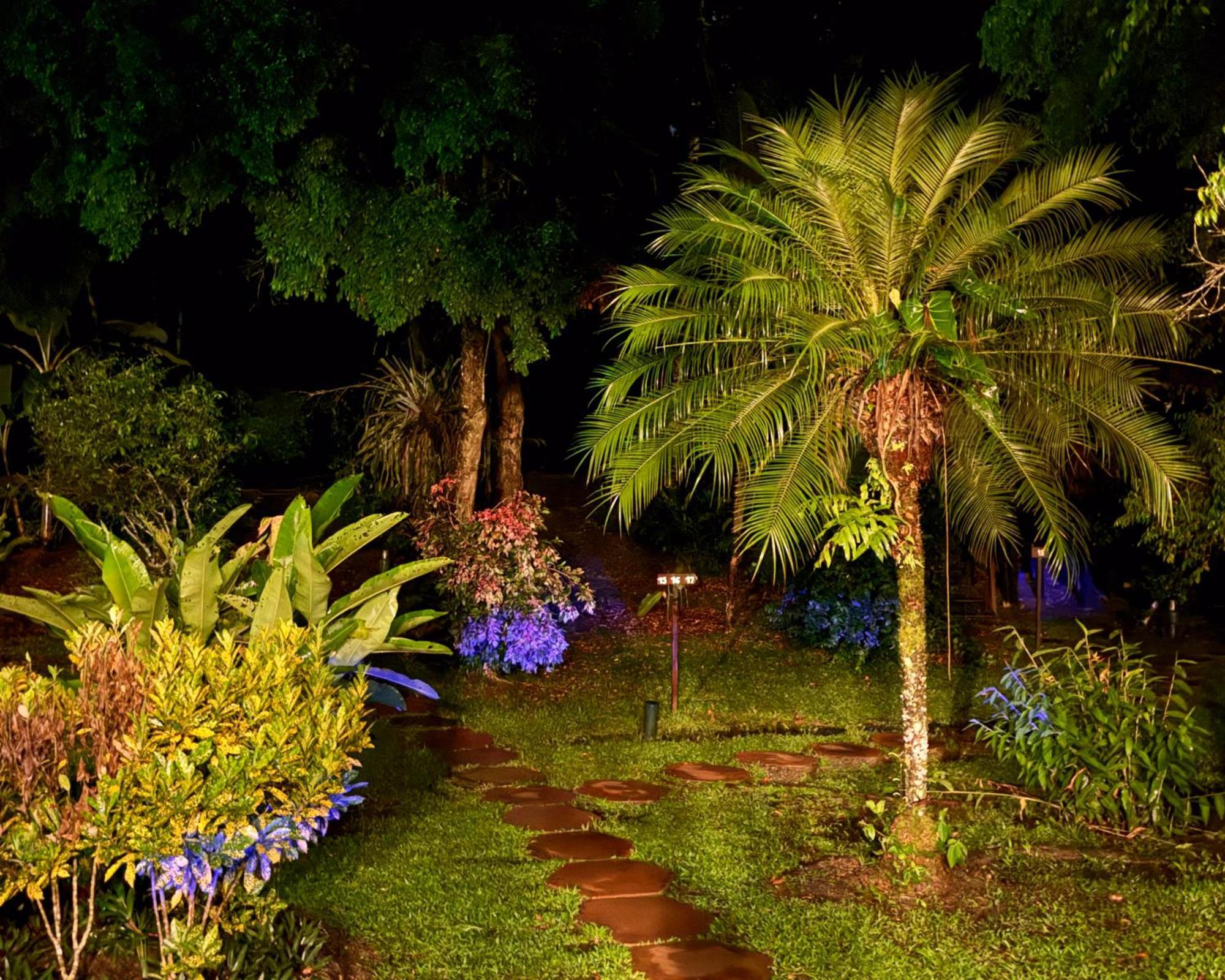 Corto Maltes Amazonia Lodge *