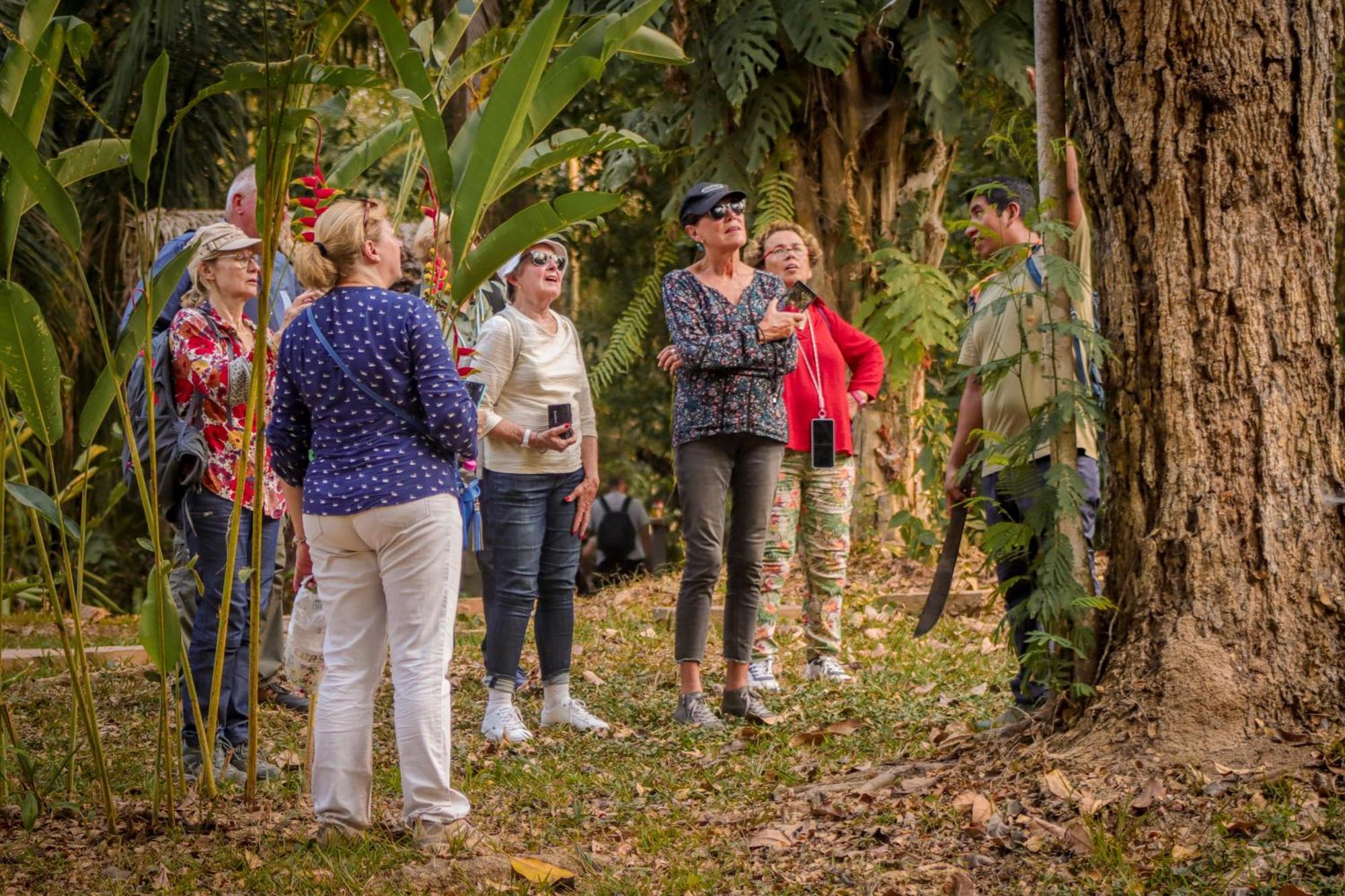 Corto Maltes Amazonia Lodge