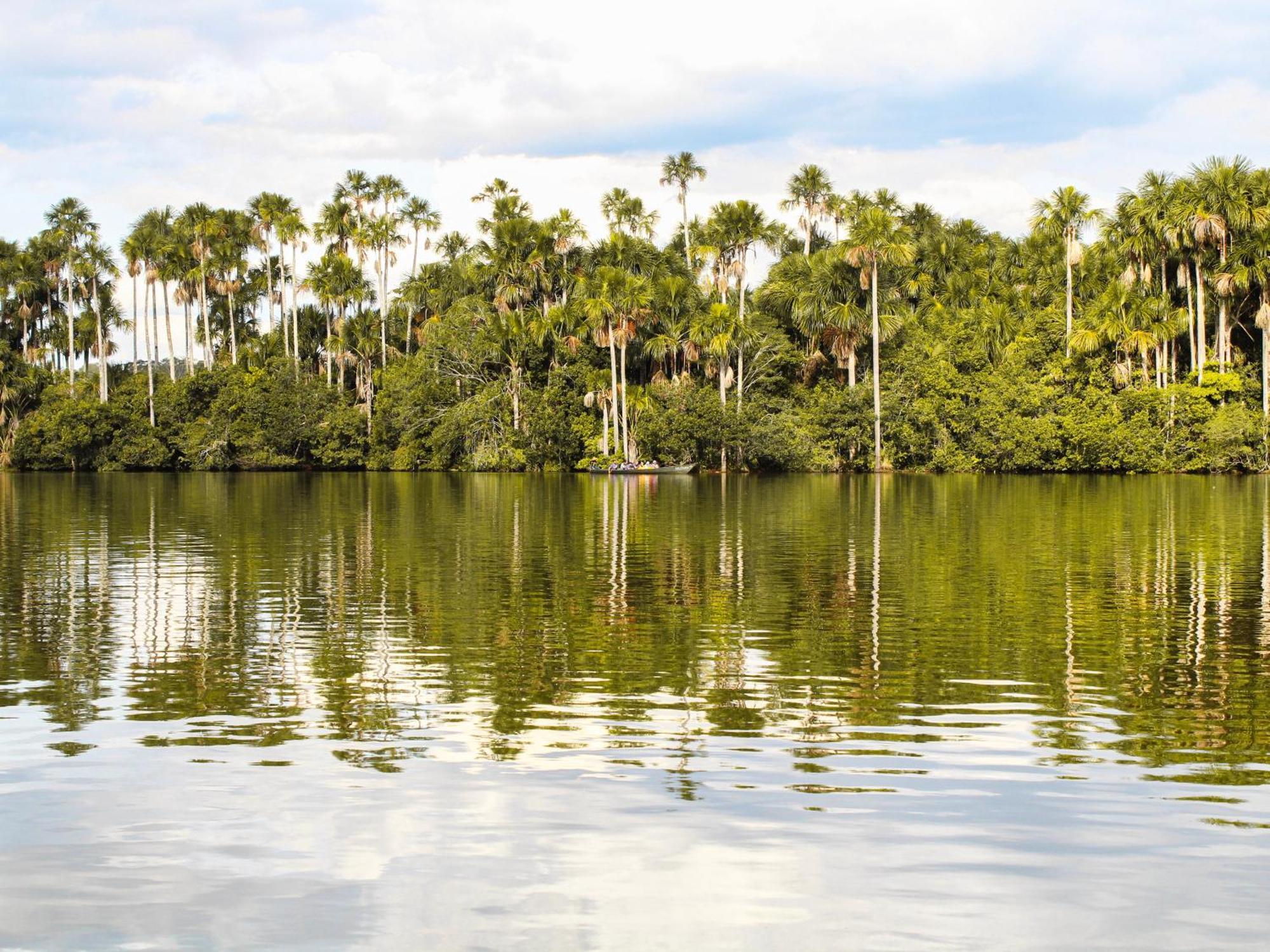 Corto Maltes Amazonia * Puerto Maldonado