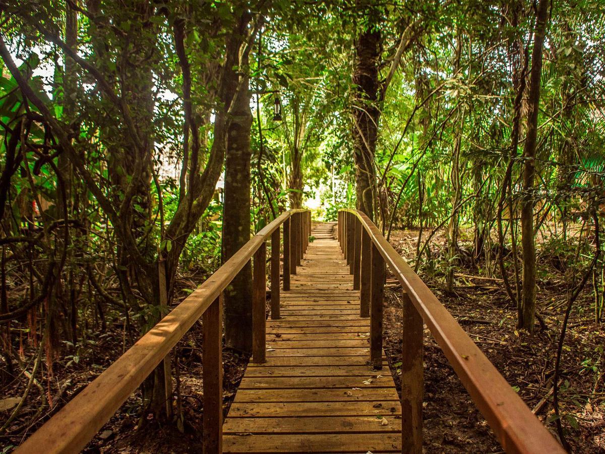 Corto Maltes Amazonia Puerto Maldonado